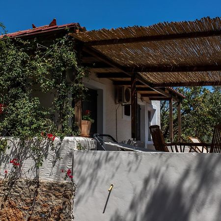 Sun&Sea Villas - Sea Vingláfia Exterior photo
